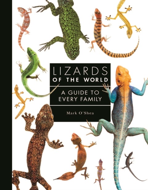 Lizards of the World - A Guide to Every Family
