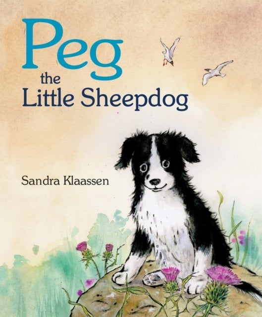 Bilde av Peg The Little Sheepdog Av Sandra Klaassen