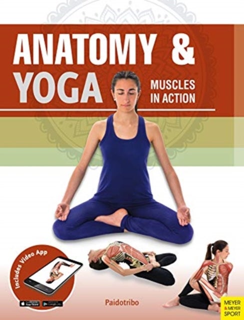 Anatomy & Yoga - Muscles in Action
