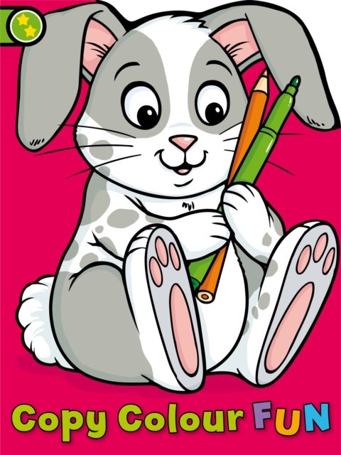 Bilde av Copy Colour Fun: Rabbit