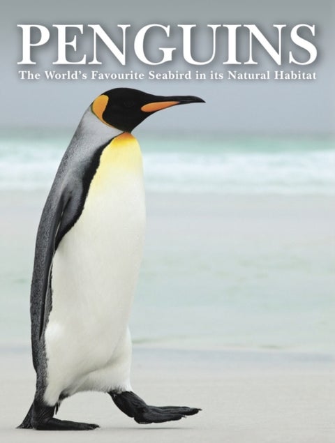 Penguins - Stunning Photographs of the World's Favourite Seabird