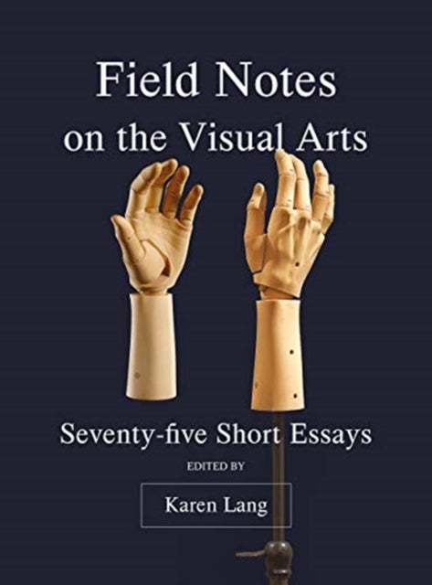 FIELD NOTES ON THE VISUAL ARTS DG - Seventy-Five Short Essays