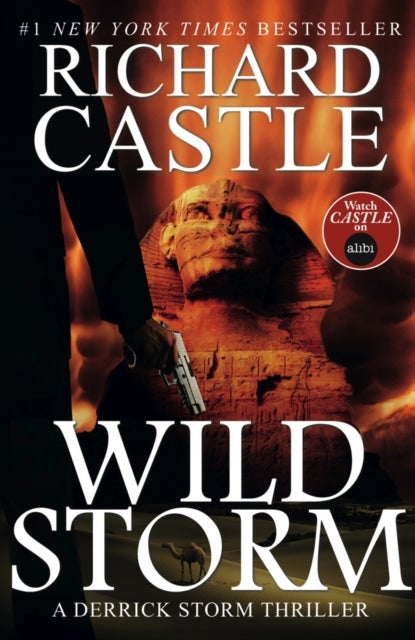 Wild Storm - A Derrick Storm Novel