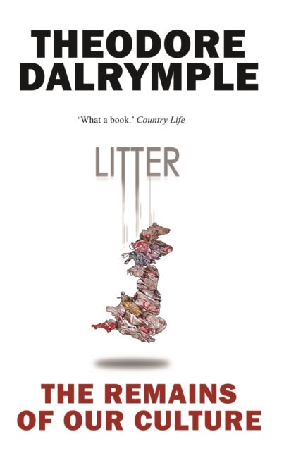 Litter - The Remains of Our Culture