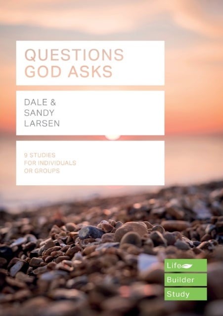 Bilde av Questions God Asks Av Dale Larsen, Sandy Larsen