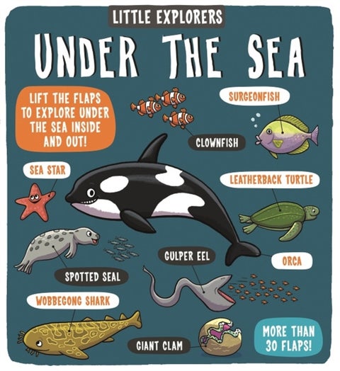Little Explorers: Under the Sea
