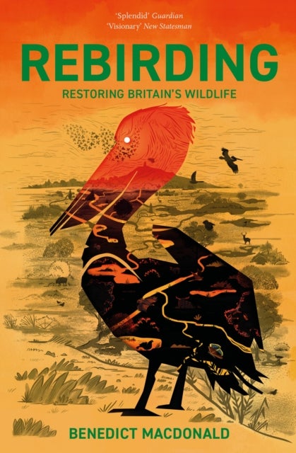 Rebirding - Restoring Britain's Wildlife