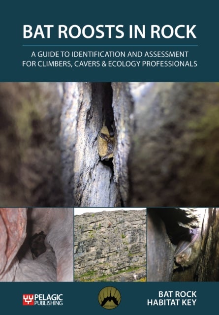 Bat Roosts in Rock - A Guide to Identification and Assessment for Climbers, Cavers & Ecology Professionals
