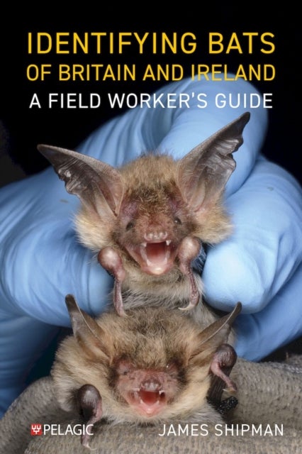 Identifying Bats of Britain and Ireland - A Field Worker¿s Guide