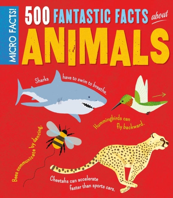 Bilde av Micro Facts! 500 Fantastic Facts About Animals Av Clare Hibbert