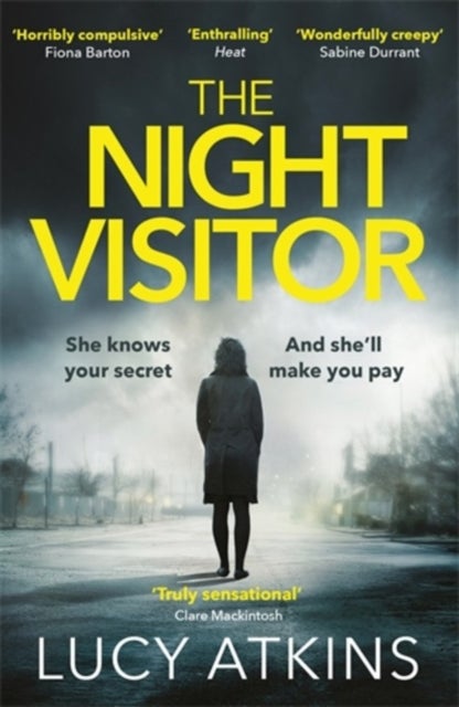 The Night Visitor - the gripping thriller from the author of Magpie Lane