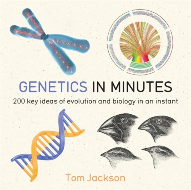 Bilde av Genetics In Minutes Av Tom Jackson