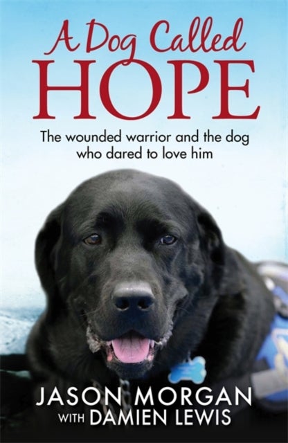 A Dog Called Hope - The wounded warrior and the dog who dared to love him