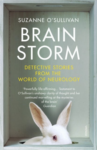 Brainstorm - Detective Stories From the World of Neurology