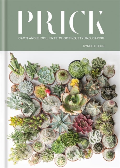 Prick - Cacti and Succulents: Choosing, Styling, Caring