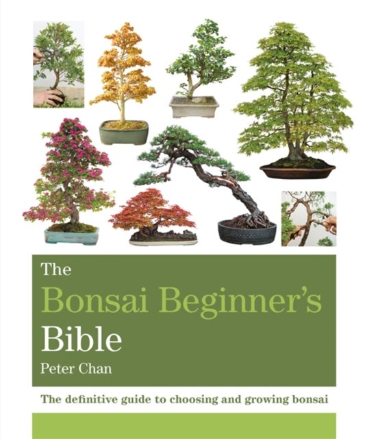 Bilde av The Bonsai Beginner&#039;s Bible Av Peter Chan