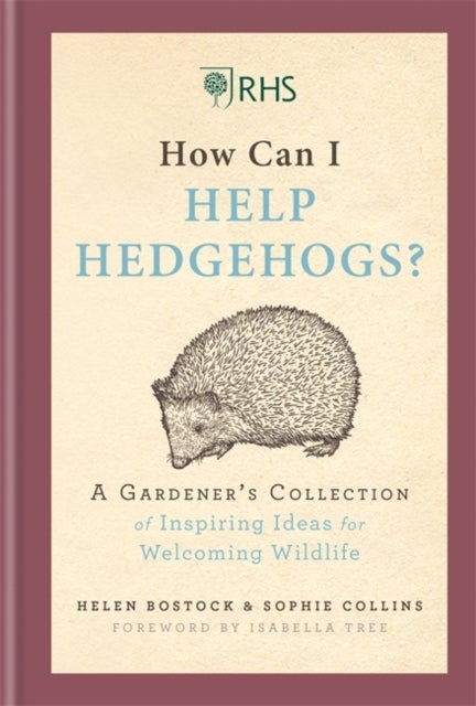 RHS How Can I Help Hedgehogs? - A Gardener's Collection of Inspiring Ideas for Welcoming Wildlife