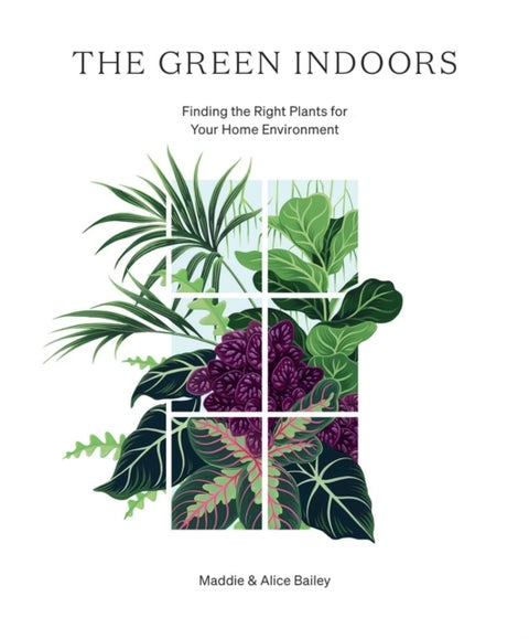 The Green Indoors - Finding the Right Plants for Your Home Environment