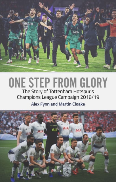 One Step from Glory - Tottenham's 2018/19 Champions League
