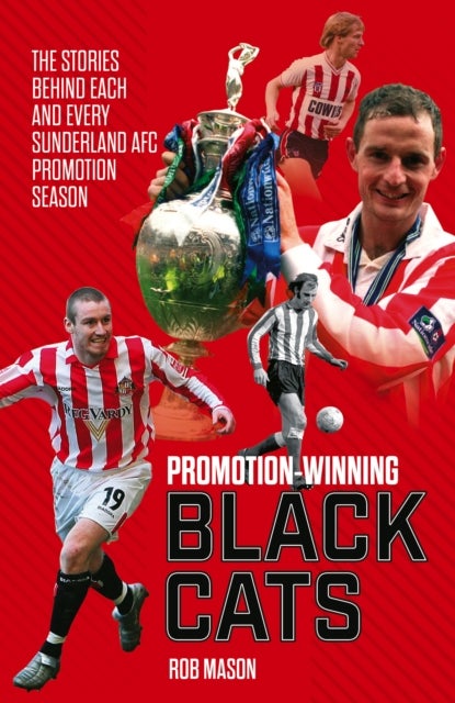 Promotion Winning Black Cats - The Stories Behind Each and Every Sunderland AFC Promotion Season