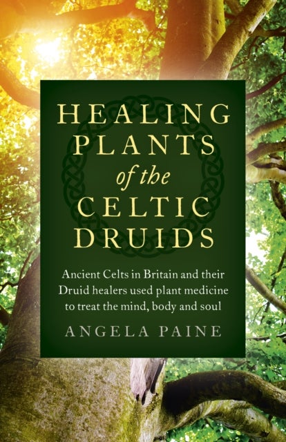 Healing Plants of the Celtic Druids - Ancient Celts in Britain and their Druid healers used plant me