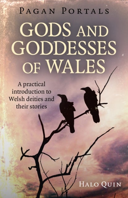 Bilde av Pagan Portals - Gods And Goddesses Of Wales Av Halo Quin