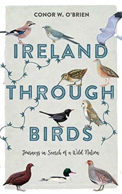 Ireland Through Birds - Journeys in Search of a Wild Nation