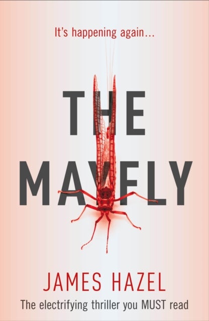 The Mayfly