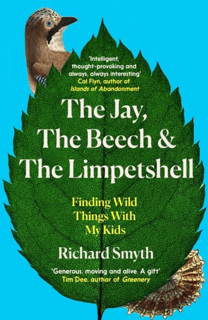 The Jay, The Beech and the Limpetshell - Finding Wild Things With My Kids