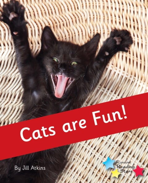 Cats are Fun! - Phonics Phase 4