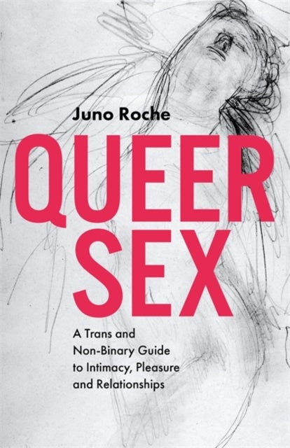Queer Sex - A Trans and Non-Binary Guide to Intimacy, Pleasure and Relationships