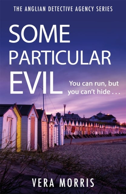 Some Particular Evil - The Anglian Detective Agency Series