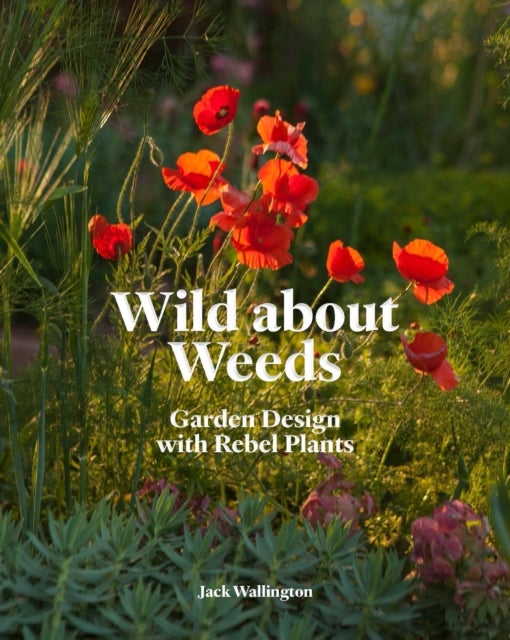 Bilde av Wild About Weeds Av Jack Wallington