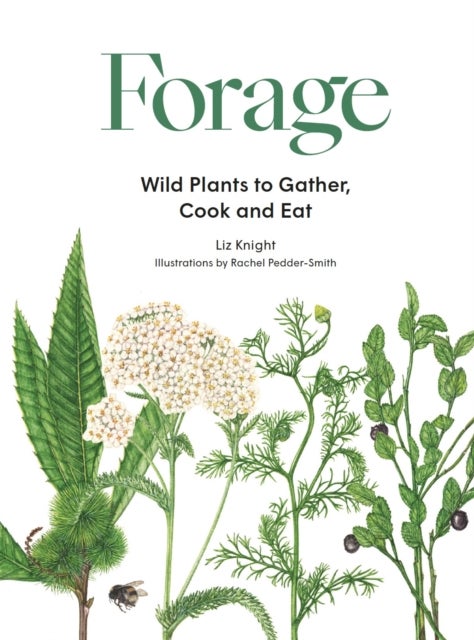 Forage - Wild plants to gather and eat