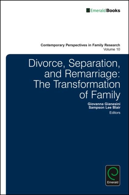 Bilde av Divorce, Separation, And Remarriage