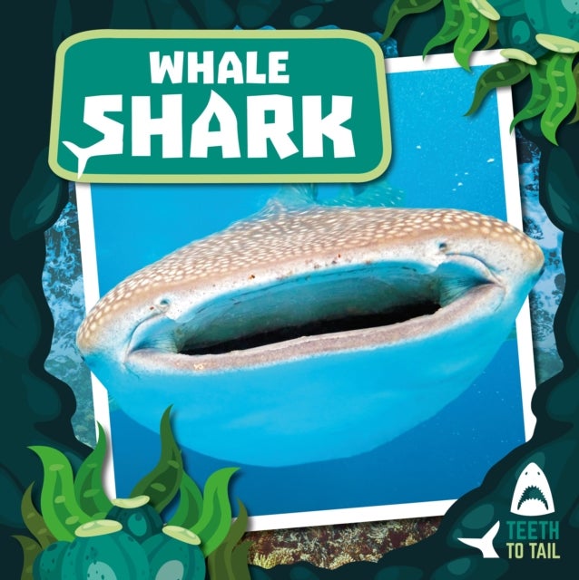 Whale Shark - Teeth to Tail