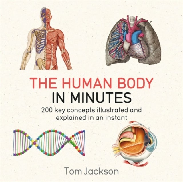 Bilde av The Human Body In Minutes Av Tom Jackson