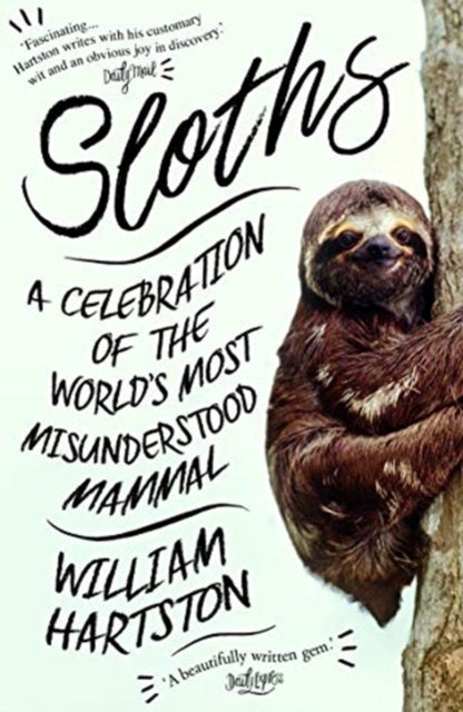 Sloths - A Celebration of the World's Most Misunderstood Mammal