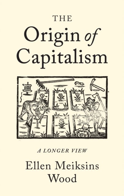 The Origin of Capitalism - A Longer View