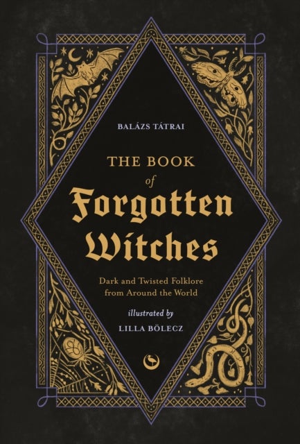 The Book of Forgotten Witches - Dark & Twisted Folklore & Stories from Around the World