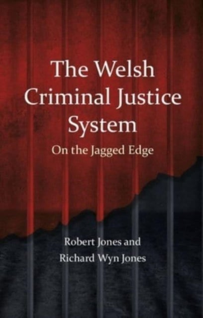 Bilde av The Welsh Criminal Justice System Av Robert Jones, Richard Wyn Jones