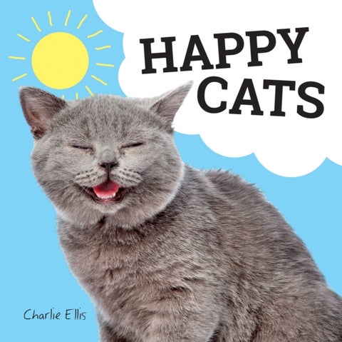Happy Cats - Photos of Felines Feeling Fab