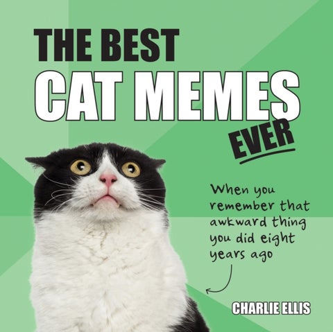 The Best Cat Memes Ever - The Funniest Relatable Memes as Told by Cats
