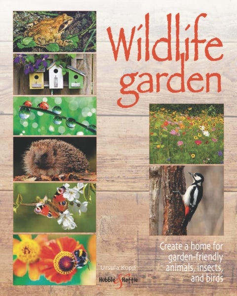 Wildlife garden - Create a home for garden-friendly animals, insects and birds