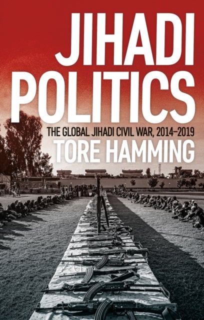 Jihadi Politics - The Global Jihadi Civil War, 2014¿2019