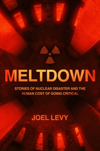 Meltdown - Stories of nuclear disaster and the human cost of going critical