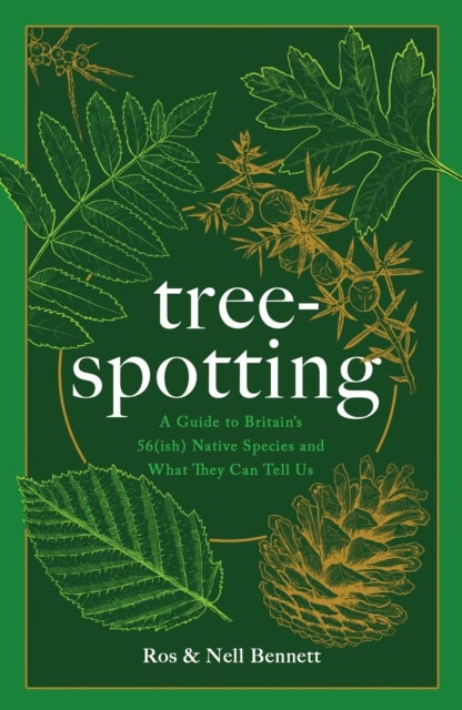 Tree-spotting - A Simple Guide to Britain's Trees