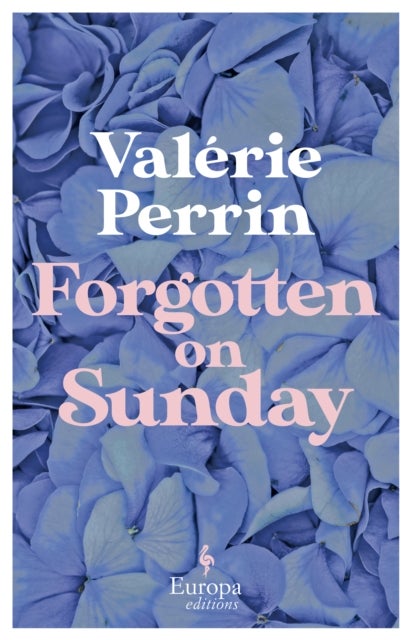Forgotten on Sunday - From the million copy bestselling author of Fresh Water for Flowers