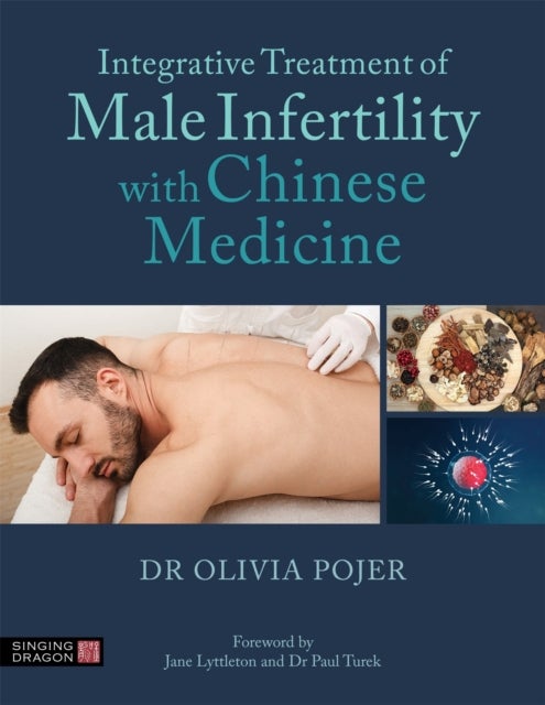 Bilde av Integrative Treatment Of Male Infertility With Chinese Medicine Av Dr Olivia Pojer