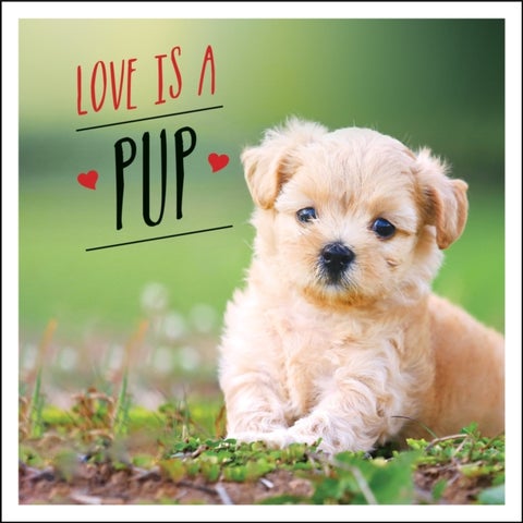 Love is a Pup - A Dog-Tastic Celebration of the World's Cutest Puppies